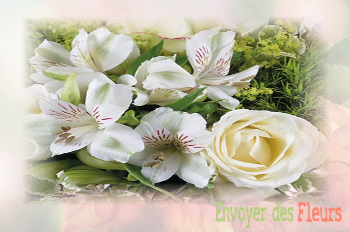 envoyer des fleurs à à SAINT-AUBIN-CHATEAU-NEUF