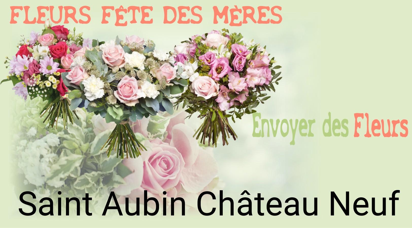 Bouquet de Fête des Mères livré à Saint-Aubin-Château-Neuf